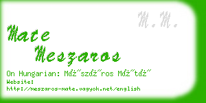 mate meszaros business card